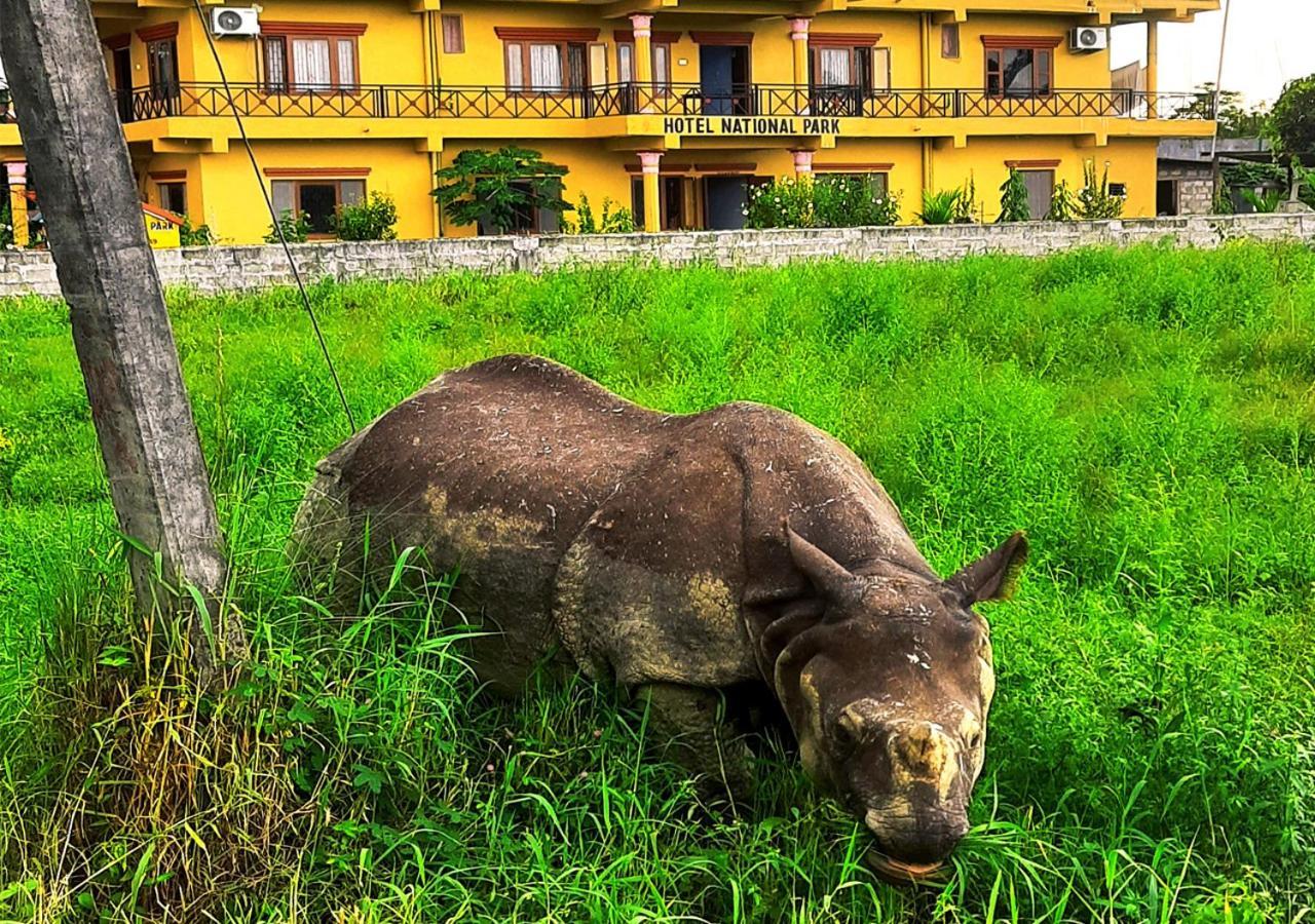 Hotel National Park Sauraha- Homely Stay And Peaceful Location With Jungle Safari Arrangements المظهر الخارجي الصورة