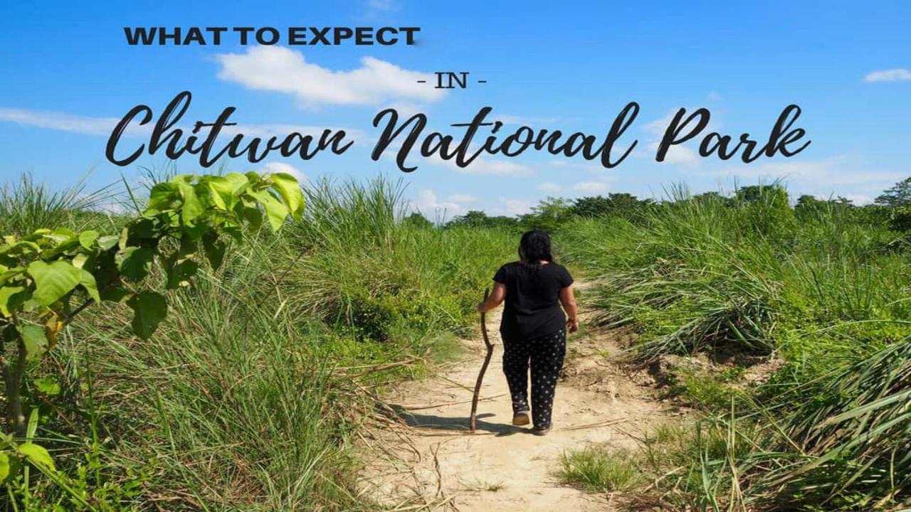 Hotel National Park Sauraha- Homely Stay And Peaceful Location With Jungle Safari Arrangements المظهر الخارجي الصورة