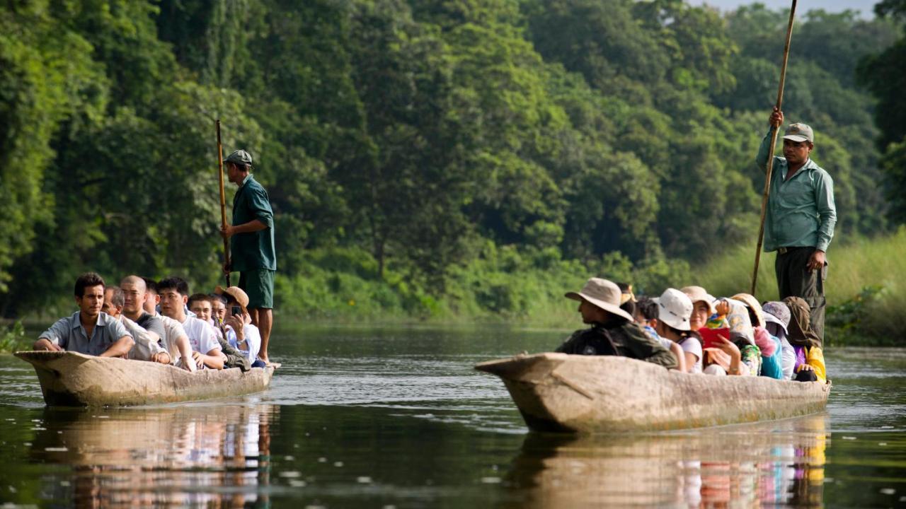 Hotel National Park Sauraha- Homely Stay And Peaceful Location With Jungle Safari Arrangements المظهر الخارجي الصورة