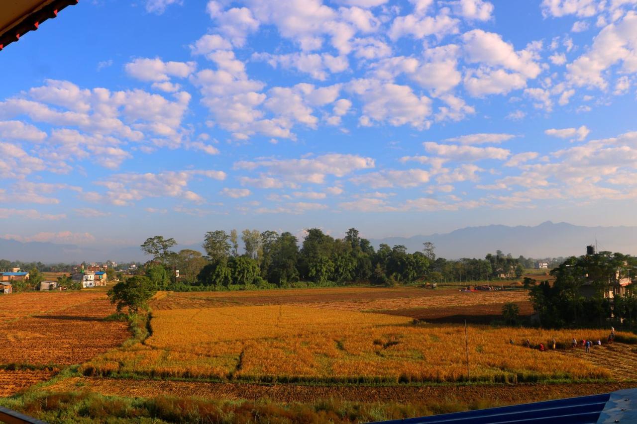 Hotel National Park Sauraha- Homely Stay And Peaceful Location With Jungle Safari Arrangements المظهر الخارجي الصورة