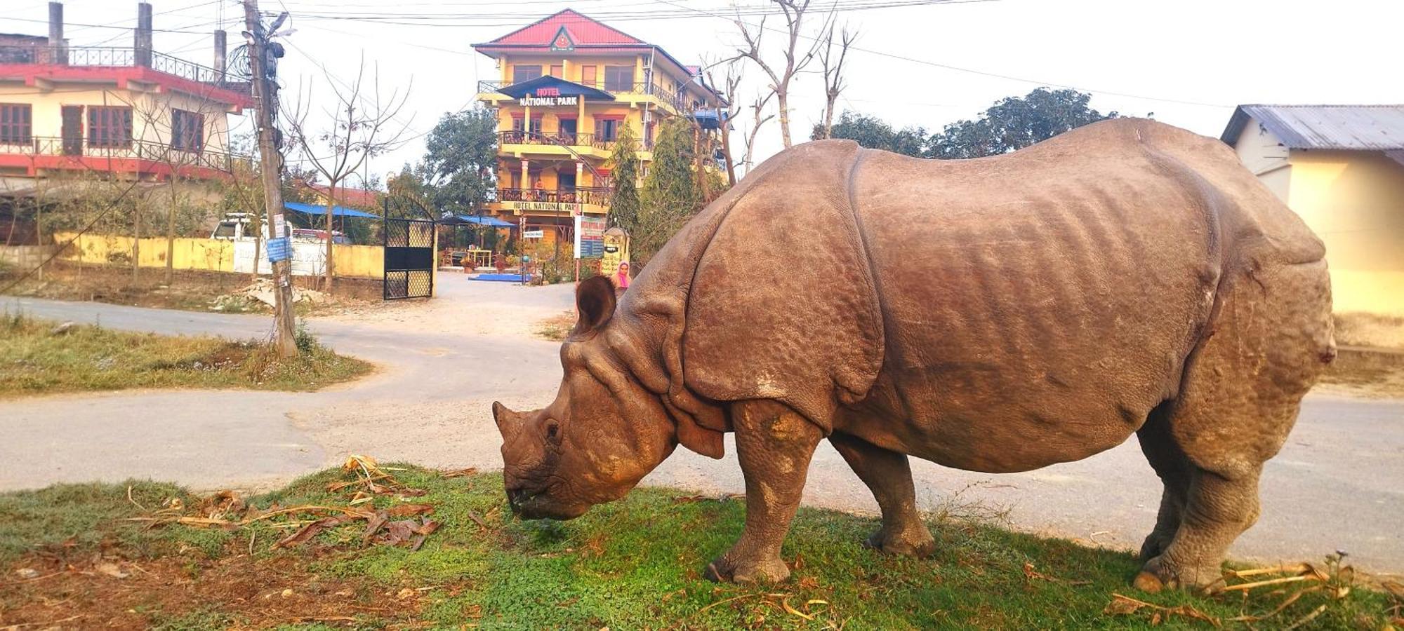 Hotel National Park Sauraha- Homely Stay And Peaceful Location With Jungle Safari Arrangements المظهر الخارجي الصورة