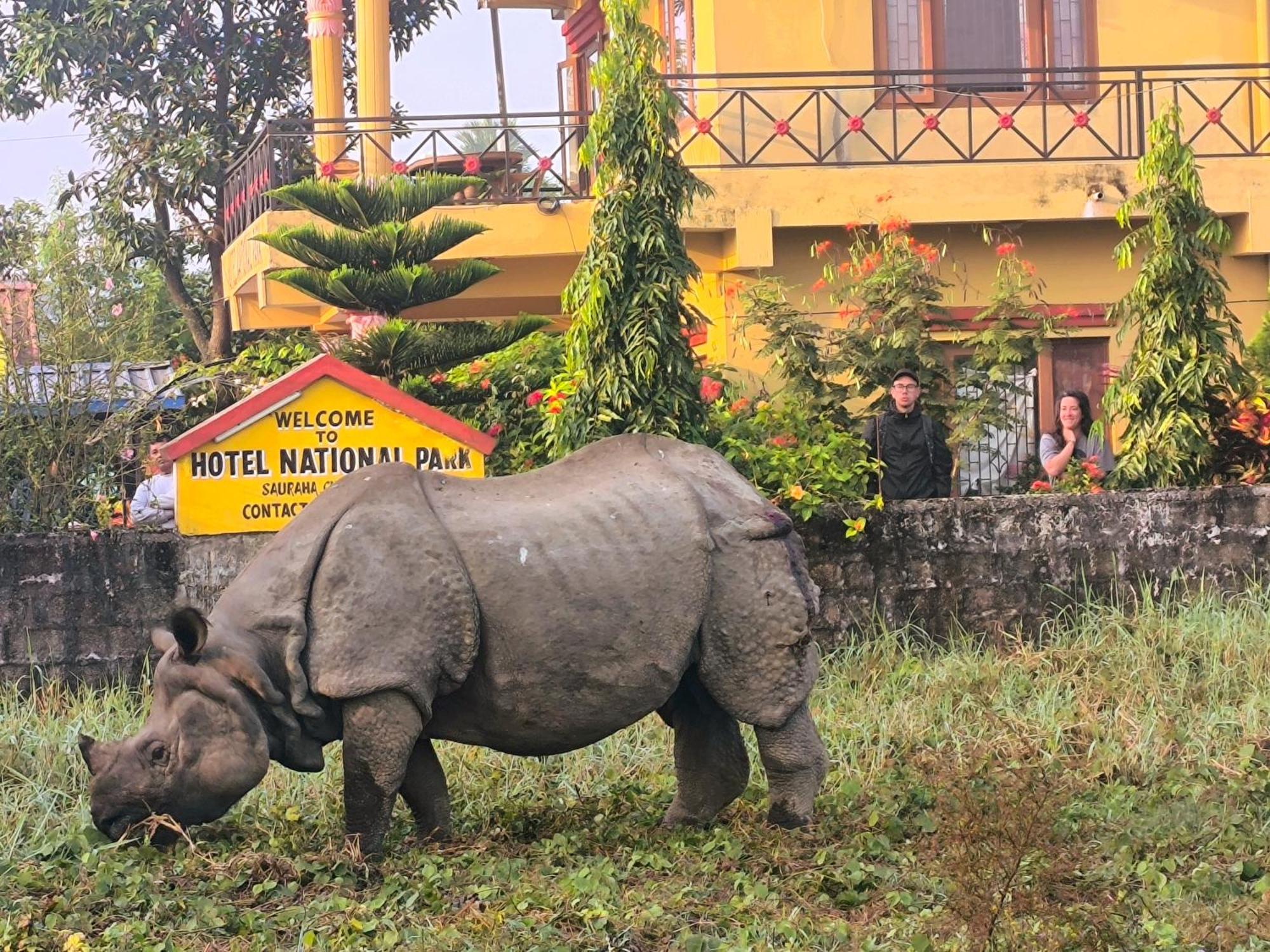 Hotel National Park Sauraha- Homely Stay And Peaceful Location With Jungle Safari Arrangements المظهر الخارجي الصورة